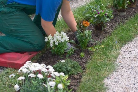 Φύτευση λουλουδιών